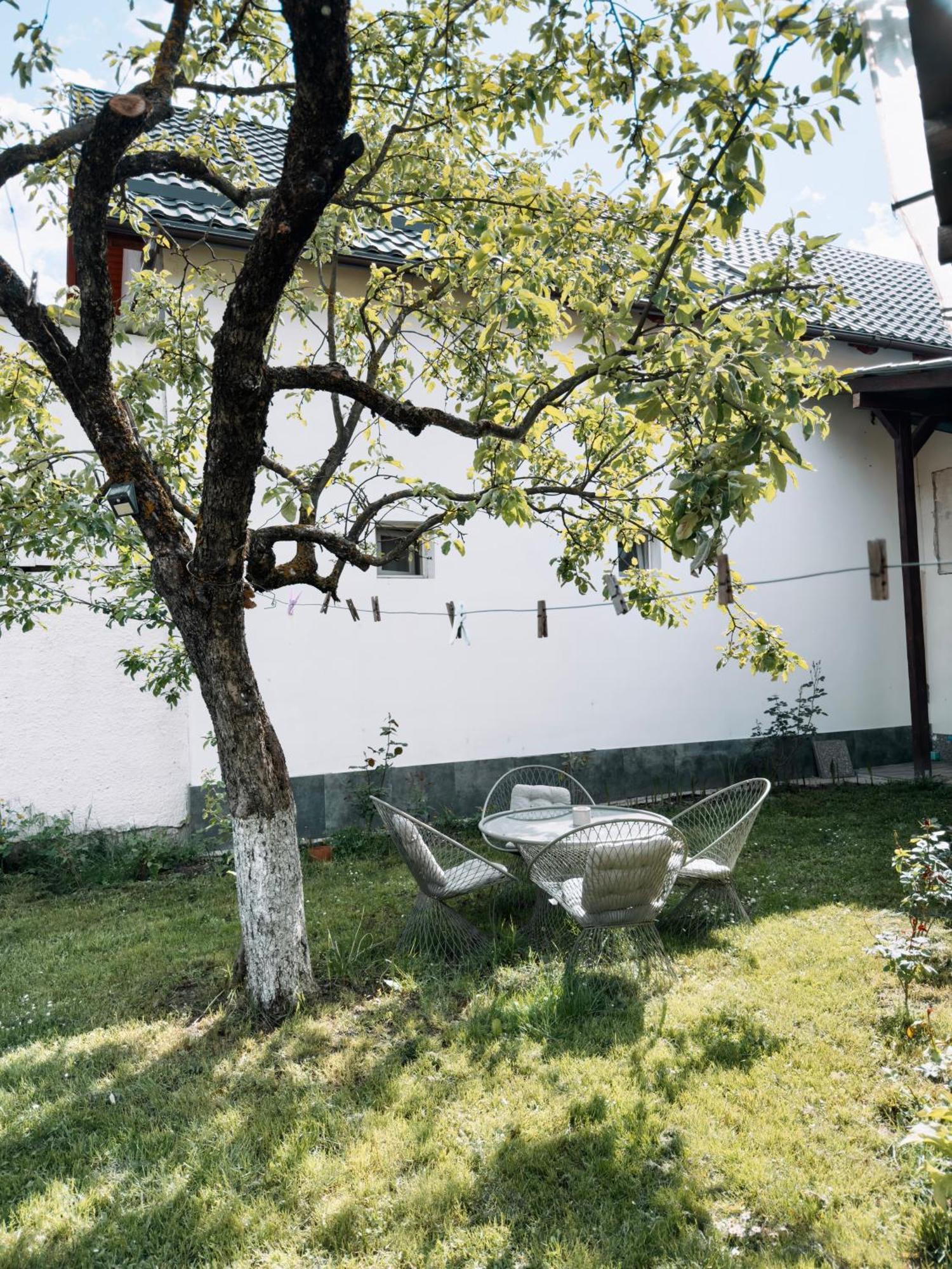 Ferienwohnung Yard Studio Rasnov Exterior foto