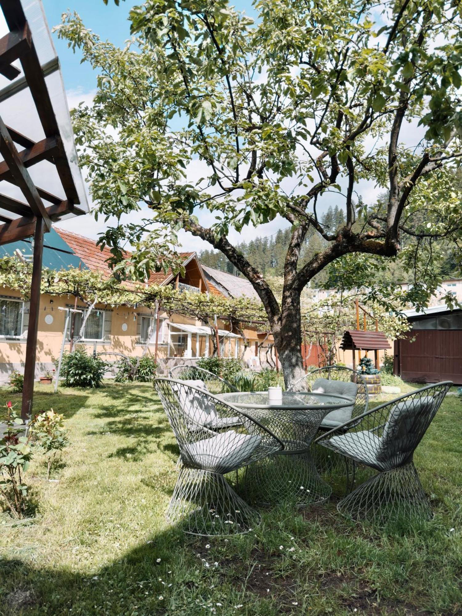 Ferienwohnung Yard Studio Rasnov Exterior foto