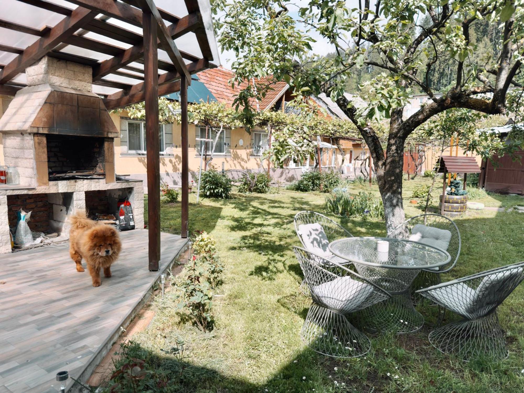 Ferienwohnung Yard Studio Rasnov Exterior foto