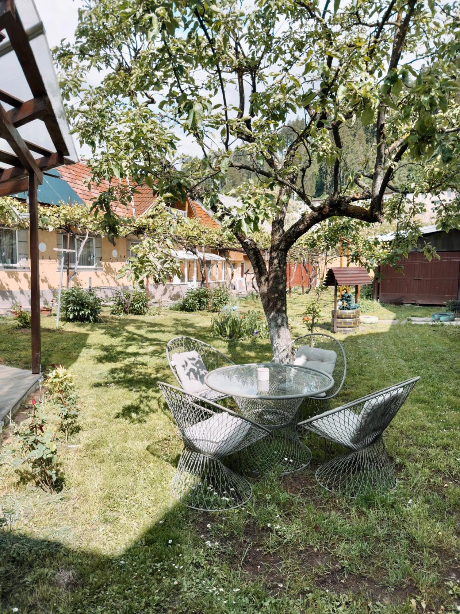 Ferienwohnung Yard Studio Rasnov Exterior foto